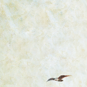 mc外国知名主播stacy plays
