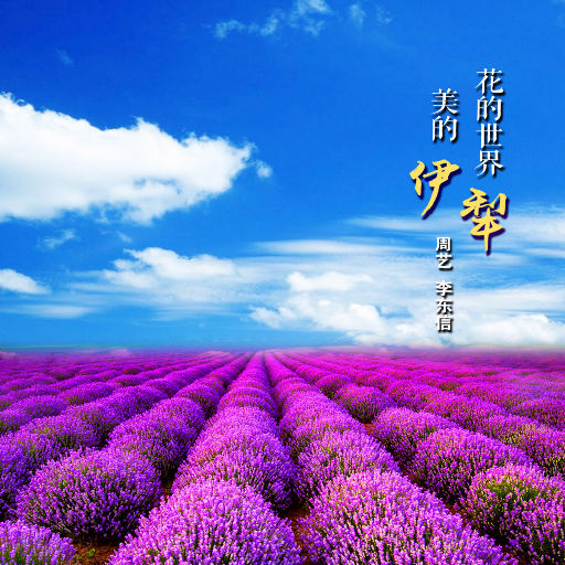 mc外国知名主播stacy plays
